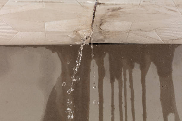 Professional Water Extraction technician working in Canyon, CA